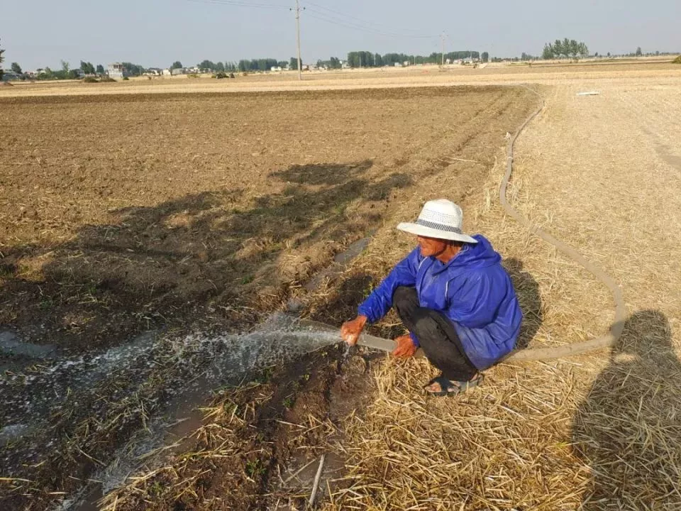 河南人快扛不住了 1个月只下1次雨  最高41℃